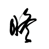 瞻