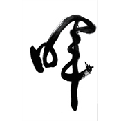 暉