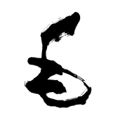 毛