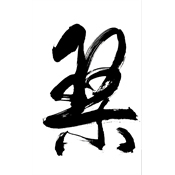 琴