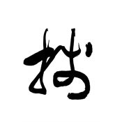 牋